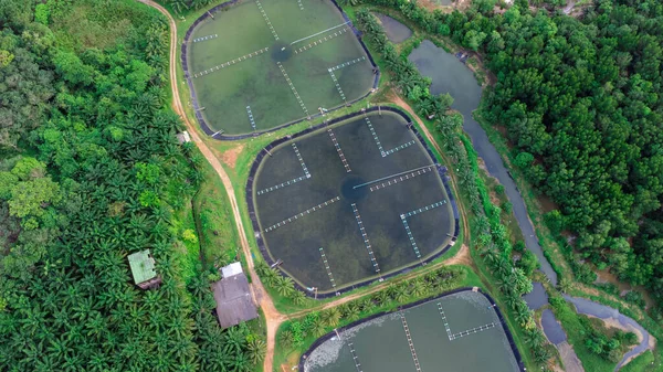 Aerial view of sewage treatment plant. Industrial wastewater treatment plant in Southern Thailand. Sewage Farm