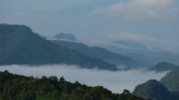 Aerial View Sea Fog Tropical Mountains Early Morning Layers Mountains — Stock Video