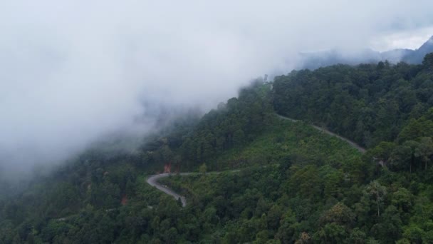 Luftaufnahme Einer Bergstraße Mit Wunderschönen Grünen Wäldern Thailand Landschaft Der — Stockvideo