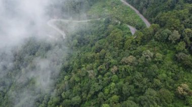 Tayland 'da yeşil ormanları olan tepedeki bir yolun havadan görünüşü. Doğanın hareket halindeki arka planı. Seyahat ve ulaşım kavramı