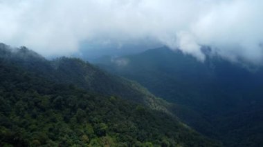 Sabahın erken saatlerinde tropikal dağlardaki sis denizinin havadan görünüşü. Tayland 'daki dağların katmanları. Doğanın hareketli arka planının manzarası.