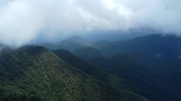 Vista Aérea Del Mar Niebla Las Montañas Tropicales Por Mañana — Vídeos de Stock