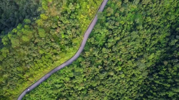 Flygfoto Över Bergsväg Med Vackra Gröna Skogar Thailand Landskap Naturen — Stockvideo