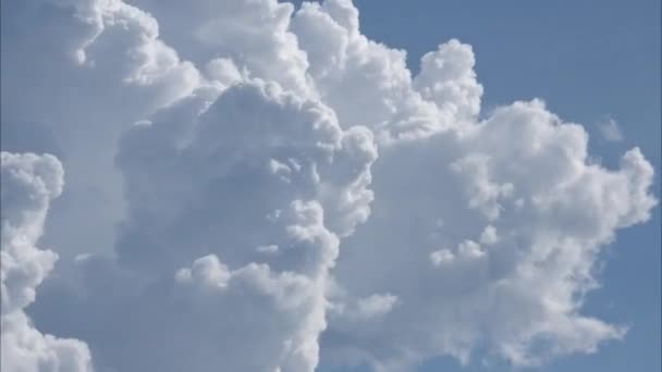 Légi Kilátás Gyönyörű Felhők Nap Egy Nyári Napon Kék Feletti — Stock videók