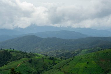 Dağlı yeşil dalga tarlalarının ve yağmurlu mevsimlerde bulutlu gökyüzünün havadan görünüşü. Genç pirinç tarlalarının ya da Kuzey Tayland 'daki tarım arazilerinin güzel yeşil alanları. Doğal manzara arka planı.
