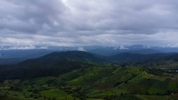 雨季には山や曇りの空と緑の波のフィールドの空中ビュー タイ北部の若い田んぼや農地の美しい緑のエリア 自然景観背景 — ストック写真