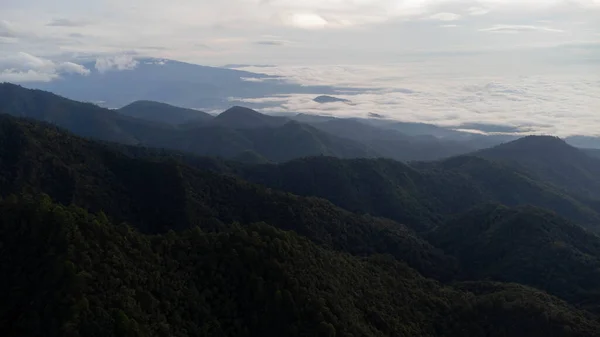 Vista Aérea Mar Nevoeiro Montanhas Tropicais Início Manhã — Fotografia de Stock