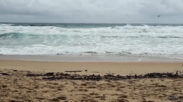 汚い使用プラスチック廃棄物やビーチで乾燥小枝 人工物による砂浜の砂の上にゴミをこぼす問題 生態学の概念 — ストック動画