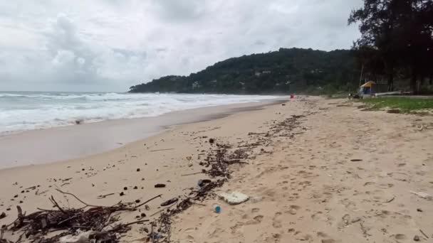 汚い使用プラスチック廃棄物やビーチで乾燥小枝 人工物による砂浜の砂の上にゴミをこぼす問題 生態学の概念 — ストック動画