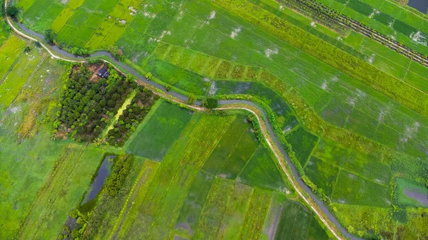 Vue Aérienne Système Canaux Irrigation Dans Une Zone Agricole Une — Photo