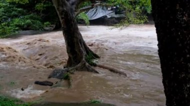 Orman dağlarında şelale kataraktı. Tayland 'da sağanak yağışlardan sonra dağ ormanlarının yamaçlarından kirli akarsular akıyor. Nehir taşkını, seçici odak.