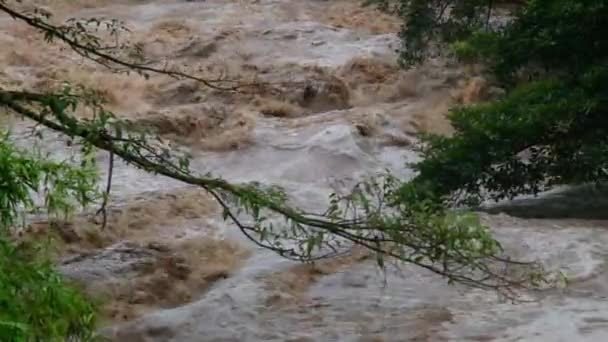 Catarata Cascada Las Montañas Del Bosque Los Arroyos Sucios Están — Vídeos de Stock