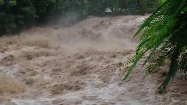 森林群中的瀑布性白内障 在泰国 大雨过后 肮脏的溪流正沿着山林的山坡流下 河流洪水 选定重点 — 图库视频影像