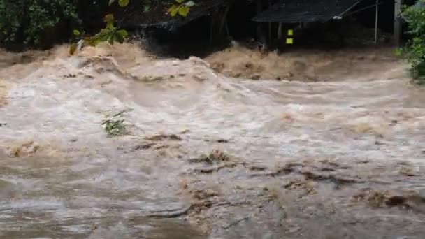 森林の山の中で滝白内障 汚れた小川は タイの大雨の後 山の森の山の斜面を流れています 川の洪水 選択的な焦点 — ストック動画