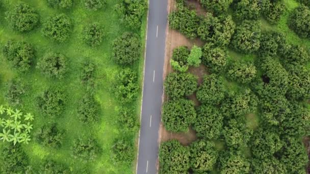 Flygfoto Över Lantlig Asfalterad Väg Bland Vackra Grönområden Naturlandskap Bakgrund — Stockvideo