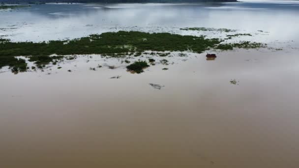 暴風雨による大雨による水位の高いタイ北部の広大な湖や山脈の空中風景 水の保全 エコツーリズムのための大規模な貯水池 — ストック動画
