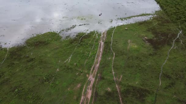 Widok Lotu Ptaka Zielone Pastwiska Dotknięte Powodziami Porze Deszczowej Widok — Wideo stockowe
