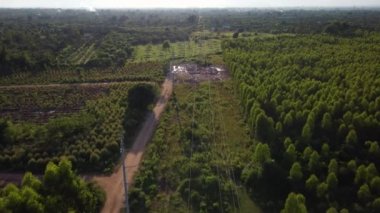 Kırsal kesimdeki yüksek voltajlı pilon inşaatının havadan görüntüsü. Kırsal kesimde günbatımında yüksek voltajlı elektrik direklerinin ve kabloların en üst görüntüsü.