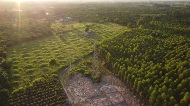 Luchtfoto Van Hoogspanning Pyloon Fundering Bouwplaats Bovenaanzicht Van Aanleg Van — Stockvideo