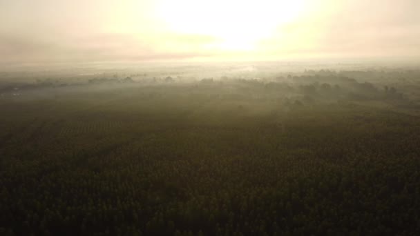 Luchtfoto Van Hemel Zon Tijdens Prachtige Zonsopgang Met Wolken Mist — Stockvideo