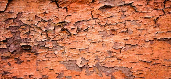 Eski bir tahtanın dokusu yakın plan