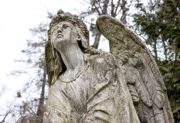 Прекрасний Ангел Вісник Смерті Тема Страждання — стокове фото