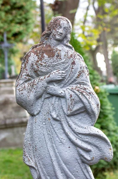 圣母玛利亚守护神雕像 — 图库照片
