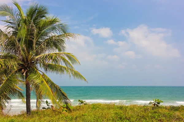 Doktor izin beach, vietnam