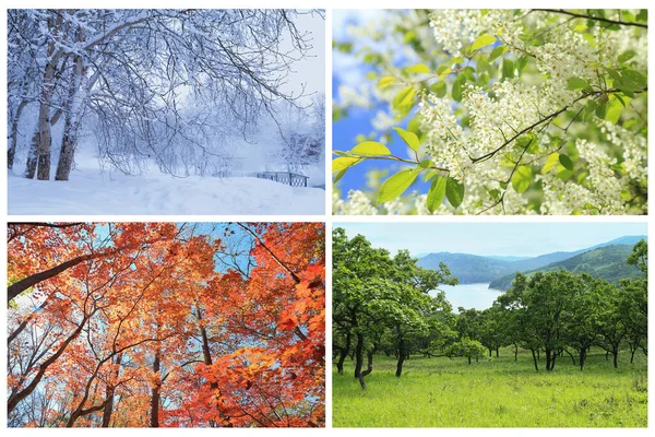 Baikal Abstrakt Bakgrund Bajkalsjön Vacker Blå Kall Spricka Kristall Mörk — Stockfoto