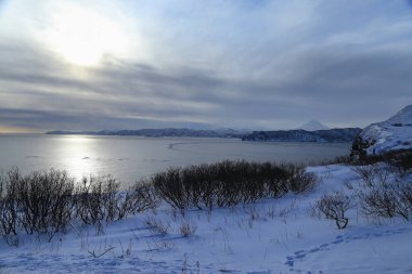 Kamçatka Yarımadası 'ndaki Avachinsky Körfezi' nde kışın