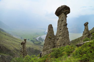 Chulyshman nehri vadisinde taş mantarlar, Altai Cumhuriyeti, Rusya
