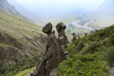 Chulyshman nehri vadisinde taş mantarlar, Altai Cumhuriyeti, Rusya