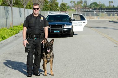 Polis Köpeği