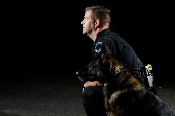 K9 ortakları