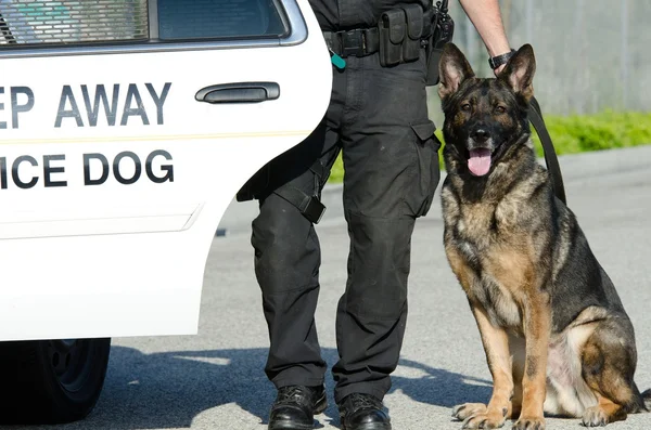 Cane poliziotto — Foto Stock