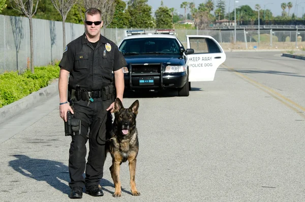 Policía perro — Foto de Stock