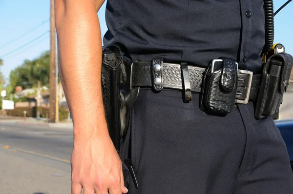 Polis Memuru