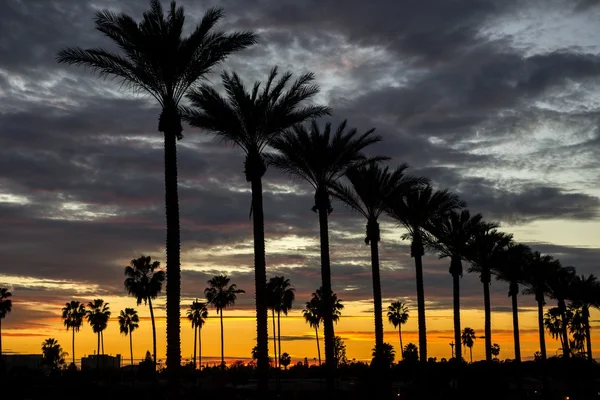 Pôr-do-sol Anaheim — Fotografia de Stock