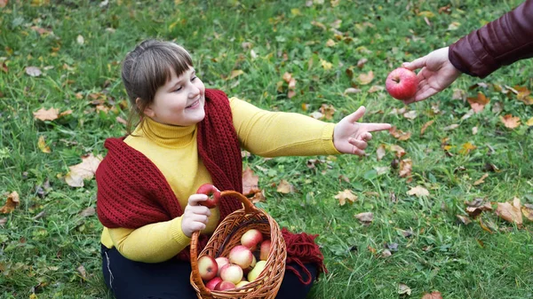 Elhízott Lány Piros Sállal Füvön Ősszel Almás Kosarat Tart Almát — Stock Fotó