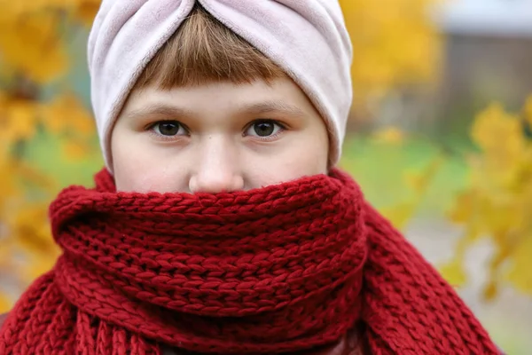 Sıcak Olsun Diye Kırmızı Eşarba Sarılmış Bir Kız Kameraya Bakıyor — Stok fotoğraf