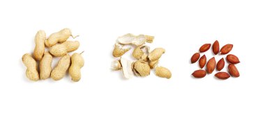 Beyaz arka planda izole edilmiş bir grup fıstık kabuğundan ve tüm fıstıklardan ayrı olarak.