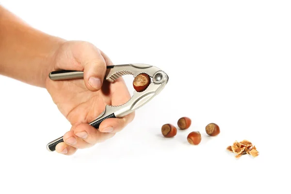 Hand Compress Pliers Splitting Nut Hazelnut Shells Hand Tools Use — Stockfoto
