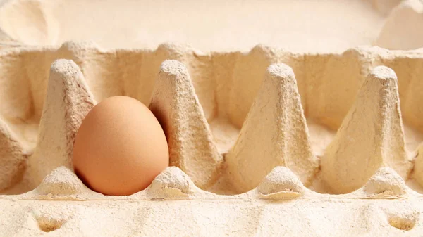Doku yüzeyi, hücre kutusunda yumurta için tek tavuk kahverengi yumurta, yakın plan.