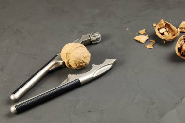 Nutcracker broken about solid walnut, durable shell, close-up on dark background next to other open nuts