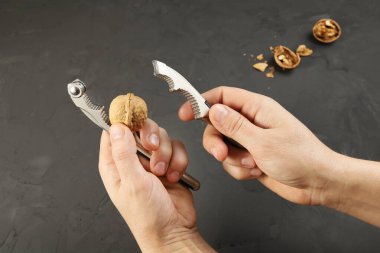 Hands hold nutcracker broken and solid walnut, durable shell, close-up on dark background next to another open nuts walnut
