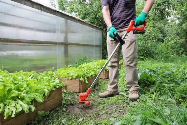 Tragbarer Trimmer Zum Mähen Von Gras Und Unerwünschten Pflanzen Der — Stockfoto