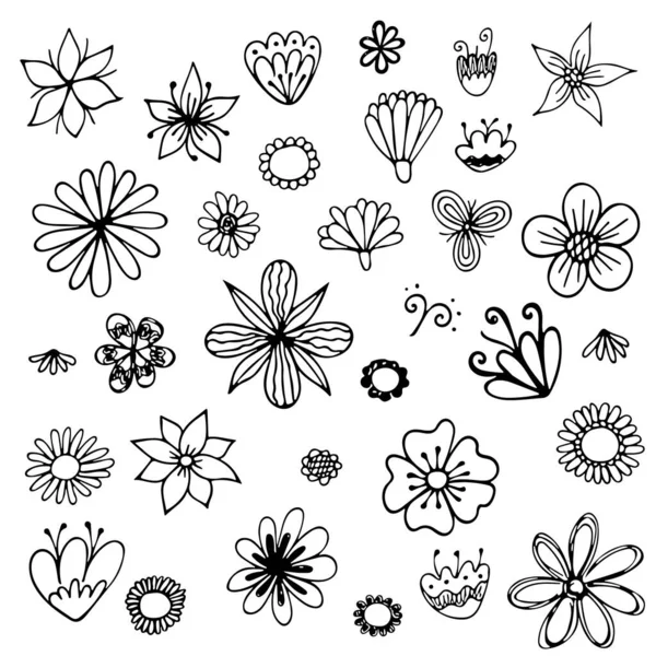 Set von Hand gezeichnete Linienskizze, Vektor-Doodle florale Kollektion. — Stockvektor