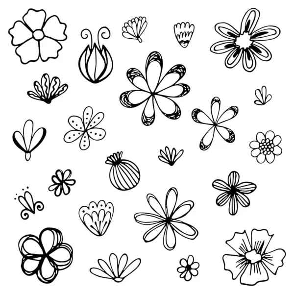 Set von Hand gezeichnete Linienskizze, Vektor-Doodle florale Kollektion. — Stockvektor