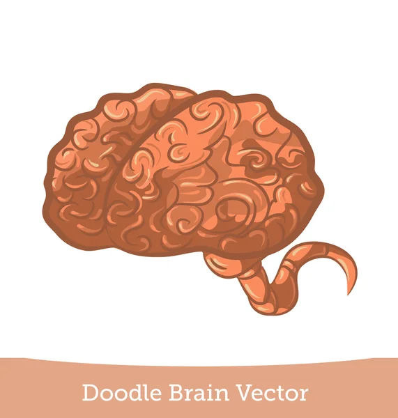 Doodle мозку — стоковий вектор