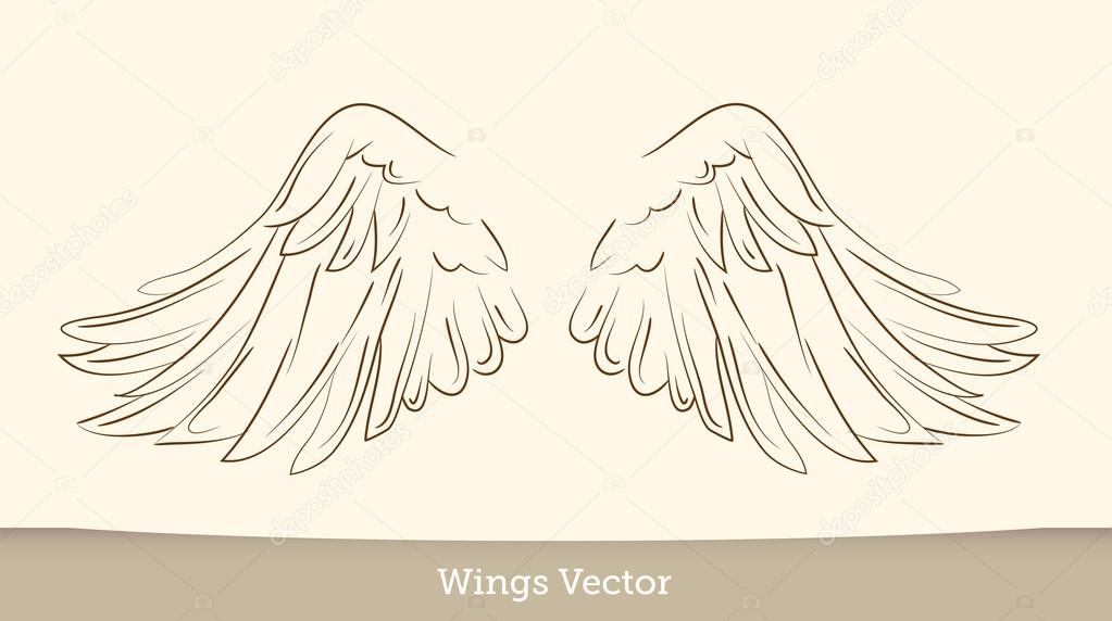 Vector Wings